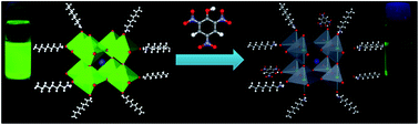 Graphical abstract: Luminescent hybrid perovskite nanoparticles as a new platform for selective detection of 2,4,6-trinitrophenol