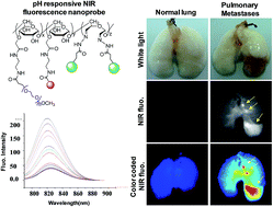 Graphical abstract: pH-responsive near-infrared nanoprobe imaging metastases by sensing acidic microenvironment