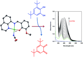 Graphical abstract: Influence of anionic co-ligands on the structural diversity and catecholase activity of copper(ii) complexes with 2-methoxy-6-(8-iminoquinolinylmethyl)phenol