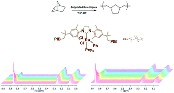 Graphical abstract: Ring-opening metathesis polymerization using polyisobutylene supported Grubbs second-generation catalyst