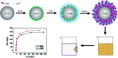 Graphical abstract: Preparation of magnetic calcium silicate hydrate for the efficient removal of uranium from aqueous systems