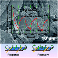 Graphical abstract: Wrinkled reduced graphene oxide nanosheets for highly sensitive and easy recoverable NH3 gas detector