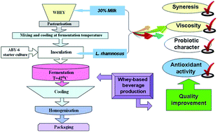 Graphical abstract: Quality attributes of a fermented whey-based beverage enriched with milk and a probiotic strain