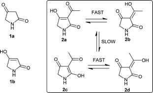 Graphical abstract: Naturally occurring tetramic acid products: isolation, structure elucidation and biological activity
