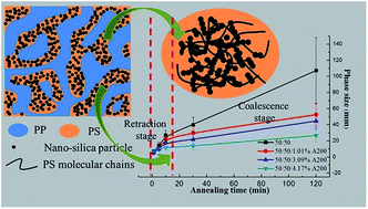 Graphical abstract: Suppressing phase retraction and coalescence of co-continuous polymer blends: effect of nanoparticles and particle network