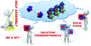 Graphical abstract: Factors driving the self-assembly of water-soluble calix[4]arene and gemini guests: a combined solution, computational and solid-state study