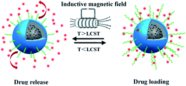 Graphical abstract: Magnetic thermosensitive core/shell microspheres: synthesis, characterization and performance in hyperthermia and drug delivery