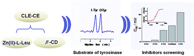Graphical abstract: A new chiral ligand exchange capillary electrophoresis system based on Zn(ii)–l-leucine complexes coordinating with β-cyclodextrin and its application in screening tyrosinase inhibitors
