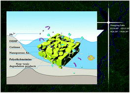 Graphical abstract: Combined removal of di(2-ethylhexyl)phthalate (DEHP) and Pb(ii) by using a cutinase loaded nanoporous gold-polyethyleneimine adsorbent