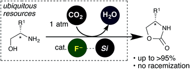 Graphical abstract: Catalytic fluoride triggers dehydrative oxazolidinone synthesis from CO2