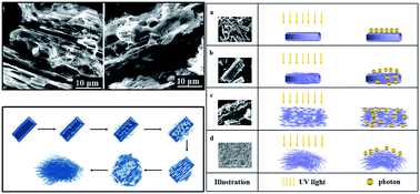 Graphical abstract: Reaction time effect of straw-like MoO3 prepared with a facile, additive-free hydrothermal process