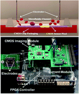 Graphical abstract: Portable resistive pulse-activated lens-free cell imaging system