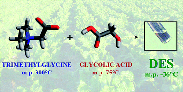 Graphical abstract: Novel zwitterionic deep eutectic solvents from trimethylglycine and carboxylic acids: characterization of their properties and their toxicity