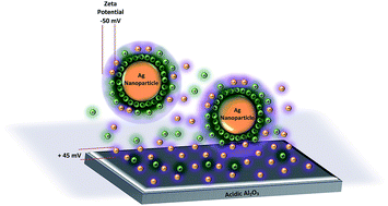 Graphical abstract: Support effect in the preparation of supported metal catalysts via microemulsion