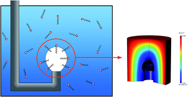 Graphical abstract: An axisymmetric model for the analysis of dynamic surface tension