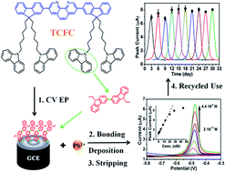 Graphical abstract: Ultrasensitive and stable determination of lead ions by a glassy carbon electrode modified with a phenanthroline-based electropolymerized film