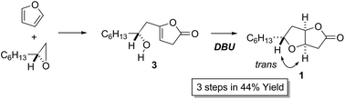 Graphical abstract: Concise and stereoselective synthesis of (±)-Hagen's gland lactone