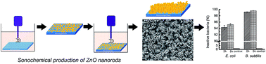 Graphical abstract: Antibacterial properties and mechanisms of toxicity of sonochemically grown ZnO nanorods