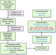 Graphical abstract: Lipopeptide biosurfactant from Bacillus clausii BS02 using sunflower oil soapstock: evaluation of high throughput screening methods, production, purification, characterization and its insecticidal activity