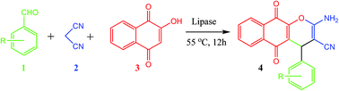 Graphical abstract: A green and one-pot synthesis of benzo[g]chromene derivatives through a multi-component reaction catalyzed by lipase