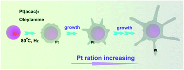 Graphical abstract: Facile synthesis of Au–Pt bimetallic nanocomplexes for direct oxidation of methanol and formic acid