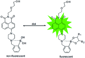 Graphical abstract: Naphthalimide-based fluorescent photoinduced electron transfer sensors for saccharides