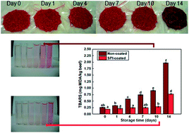 Graphical abstract: Application of soy protein coatings and their effect on the quality and shelf-life stability of beef patties
