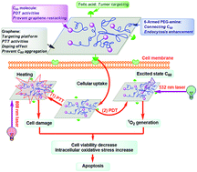 Graphical abstract: Functionalized graphene/C60 nanohybrid for targeting photothermally enhanced photodynamic therapy