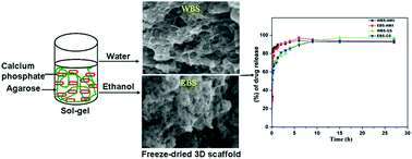 Graphical abstract: Effect of solvent; enhancing the wettability and engineering the porous structure of a calcium phosphate/agarose composite for drug delivery