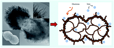 Graphical abstract: Hollow carbon-shell/carbon-nanorod arrays for high performance Li-ion batteries and supercapacitors