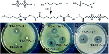 Graphical abstract: Synthesis and characterization of a polyurethane ionene/zinc chloride complex with antibacterial properties