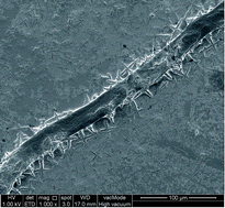 Graphical abstract: Capillary force assisted fabrication of DNA templated silver wires