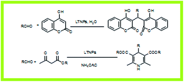 Graphical abstract: l-Tyrosine loaded nanoparticles: an efficient catalyst for the synthesis of dicoumarols and Hantzsch 1,4-dihydropyridines