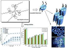 Graphical abstract: Tetrakis-imidazolium and benzimidazolium ionic liquids: a new class of biodegradable surfactants