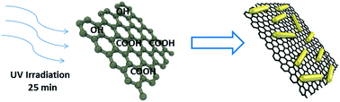 Graphical abstract: One-pot in situ photochemical synthesis of graphene oxide/gold nanorod nanocomposites for surface-enhanced Raman spectroscopy