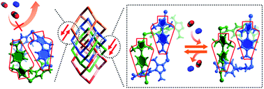 Graphical abstract: Visualizing the distinctly different crystal-to-crystal structural dynamism and sorption behavior of interpenetration-direction isomeric coordination networks