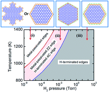 Graphical abstract: The edge termination controlled kinetics in graphene chemical vapor deposition growth