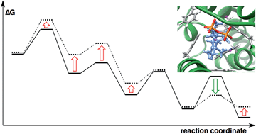 Graphical abstract: Modulation of inherent dynamical tendencies of the bisabolyl cation via preorganization in epi-isozizaene synthase