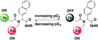 Graphical abstract: Bimetallic lanthanide complexes that display a ratiometric response to oxygen concentrations