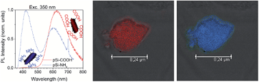 Graphical abstract: Orange and blue luminescence emission to track functionalized porous silicon microparticles inside the cells of the human immune system