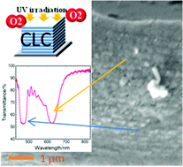 Graphical abstract: Cholesteric films exhibiting expanded or split reflection bands prepared by atmospheric photopolymerisation of diacrylic nematic monomer doped with a photoresponsive chiral dopant