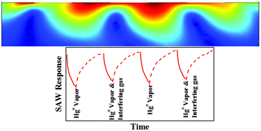 Graphical abstract: Selective detection of elemental mercury vapor using a surface acoustic wave (SAW) sensor