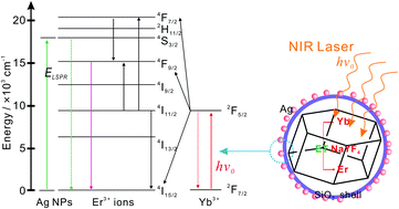 Graphical abstract: Highly-reproducible Raman scattering of NaYF4:Yb,Er@SiO2@Ag for methylamphetamine detection under near-infrared laser excitation