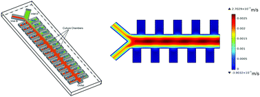 Graphical abstract: On-chip gradient generation in 256 microfluidic cell cultures: simulation and experimental validation