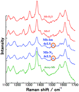 Graphical abstract: Reply to the comment on “Sensitive marker bands for the detection of spin states of heme in surface-enhanced resonance Raman scattering spectra of metmyoglobin”