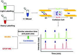 Graphical abstract: Profiling of aldehyde-containing compounds by stable isotope labelling-assisted mass spectrometry analysis