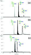 Graphical abstract: Relative quantitation of multi-antennary N-glycan classes: combining PGC-LC-ESI-MS with exoglycosidase digestion