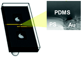 Graphical abstract: Rapid prototyping of microfluidic devices with integrated wrinkled gold micro-/nano textured electrodes for electrochemical analysis
