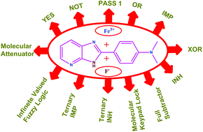 Graphical abstract: A single fluorophore to address multiple logic gates