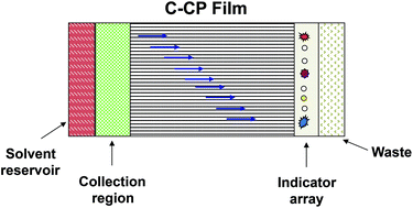 Graphical abstract: Parallel, open-channel lateral flow (immuno) assay substrate based on capillary-channeled polymer films